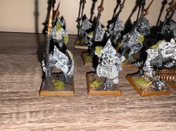 Seraphon Saurus (Temple) Guard OOP Lizardmen Models - See Photos
